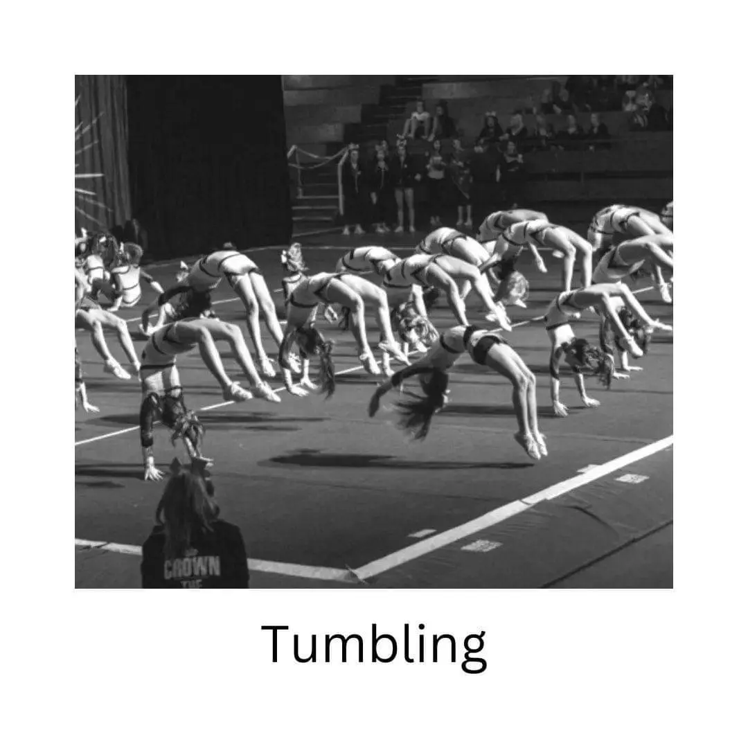 IMG_20230601_155915_141 (1)